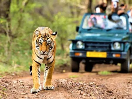mookambika-wildlife